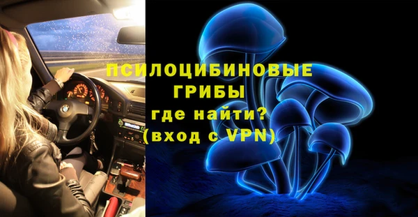 гидропоника Алзамай